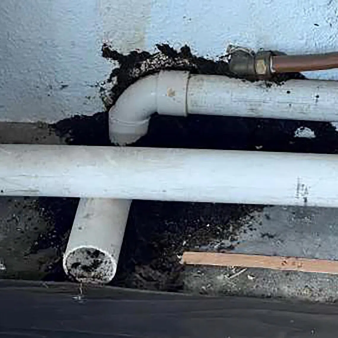 The court found that the condo’s management had failed to carry out preventive treatment against subterranean termites, resulting in damage to a couple’s home.