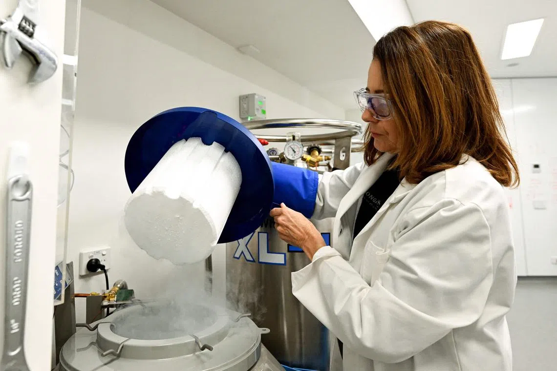 The bank has 34 species of the approximately 400 kinds of hard corals on the Great Barrier Reef.