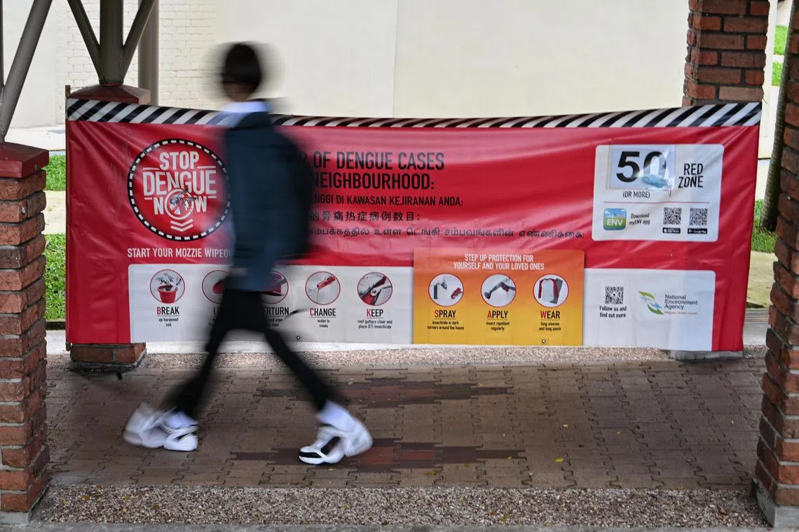 The total number of dengue cases reported in 2023 stood at 3,595. 