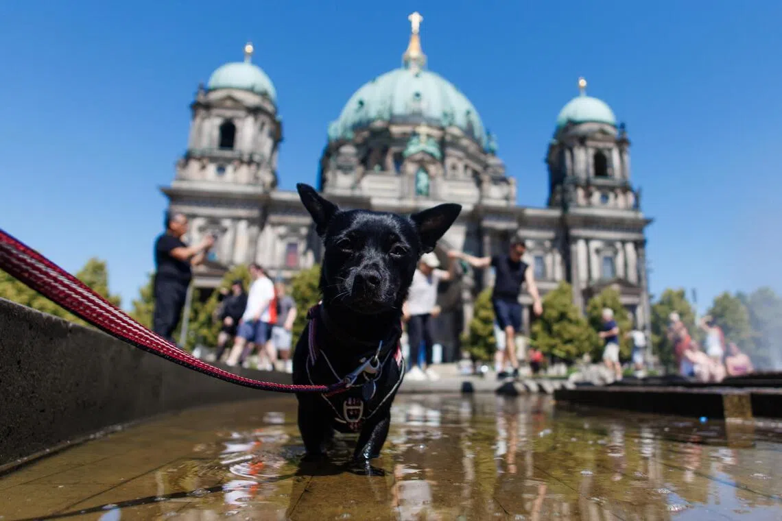 Germany sees hottest temperature on record of 41.3 deg C, says weather service