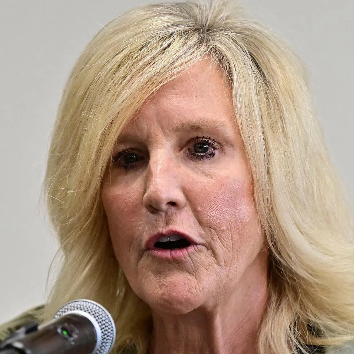US consumer advocate Erin Brockovich has since built a career taking on corporations over pollution concerns.