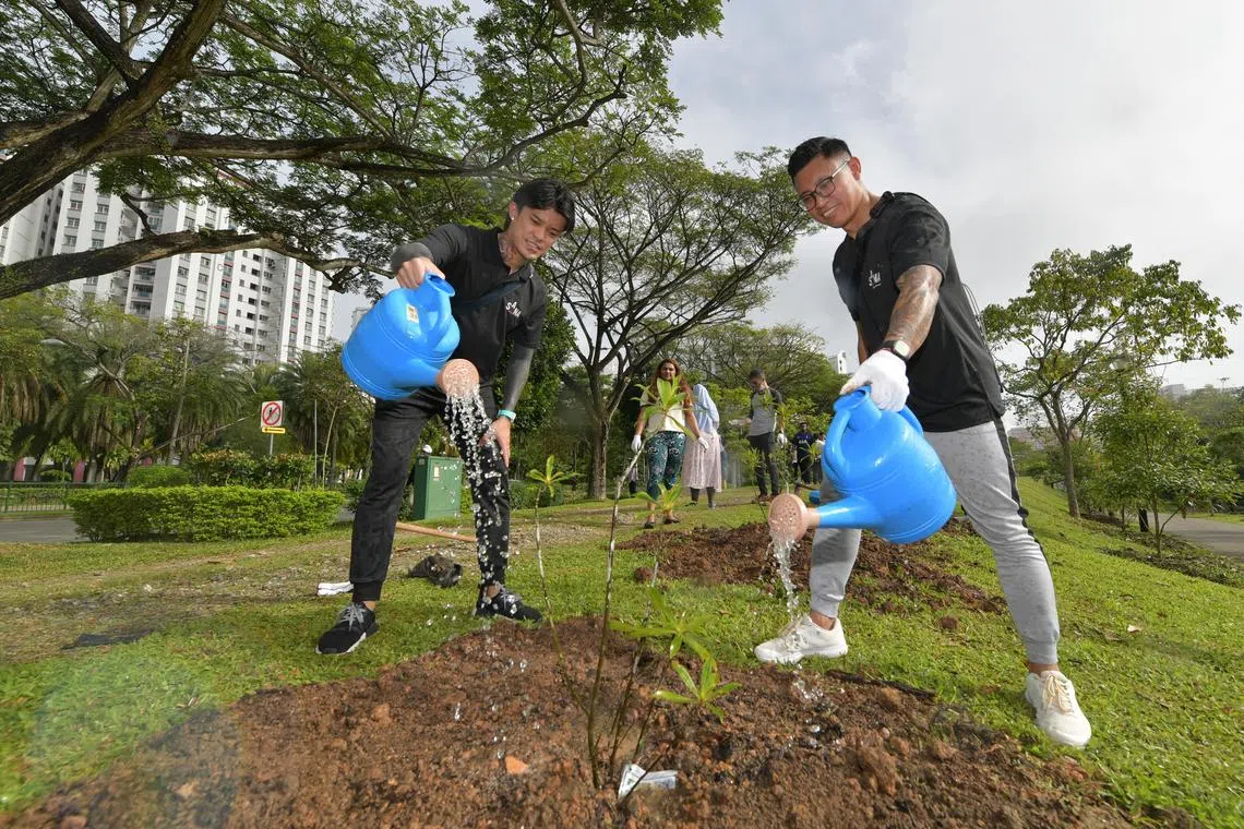 sadrugs20 / ST20230120_202373444314 / Alphonsus Chern //

Mohammad Hairul (R), 39, and Simon Khung, 36, both Peer Leaders with the Singapore Anti-Narcotics Association (SANA), take part in a tree planting event at the Sungei Serangoon Linear Park on 20 January 2023 