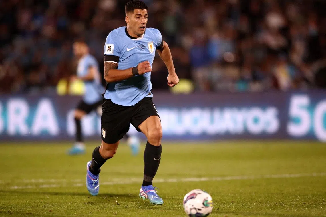 FILE PHOTO: Soccer Football - World Cup - South American Qualifiers - Uruguay v Paraguay - Estadio Centenario, Montevideo, Uruguay - September 6, 2024 Uruguay's Luis Suarez in action REUTERS/Mariana Greif/ File Photo