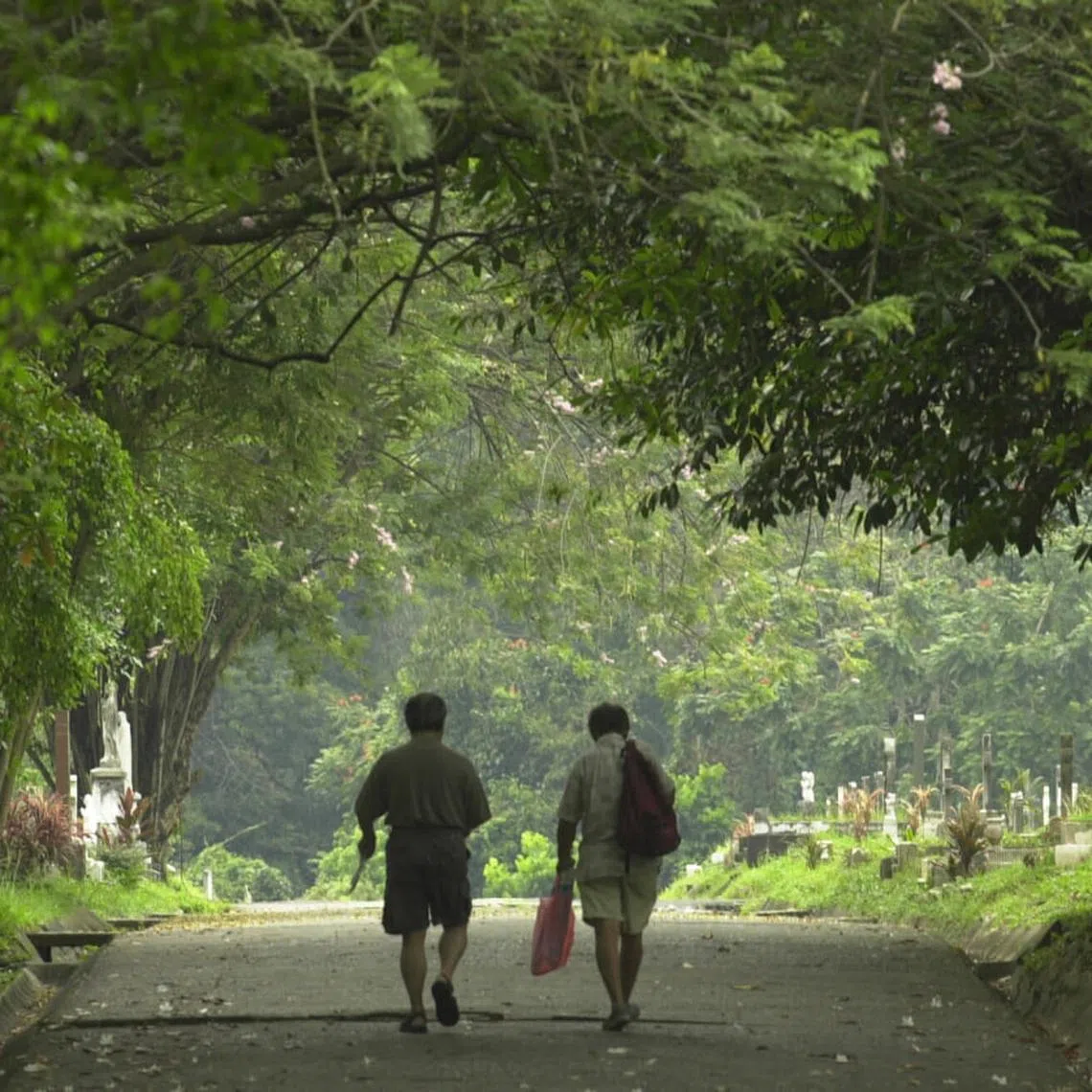 Bidadari, seen in an old photo here, had 147,000 graves within its Muslim, Christian, and Hindu burial grounds.