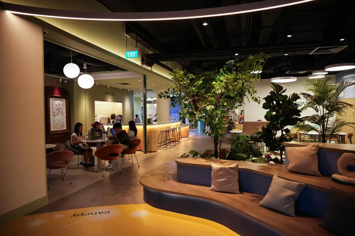 The interior of grovve, a new youth wellness space at *Scape, which has a "no wrong door" design concept intended to help persons with diverse mental health needs.
