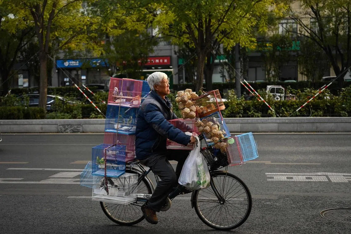 Companies will be encouraged to tailor consumer products such as clothes, vehicles and food to the specific needs of older people.