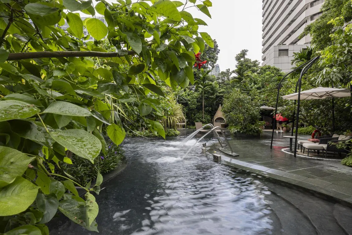 Exterior of the Terrace Wing's wellness pool at Grand Hyatt Hotel on Nov 26, 2024. ST PHOTO: BRIAN TEO