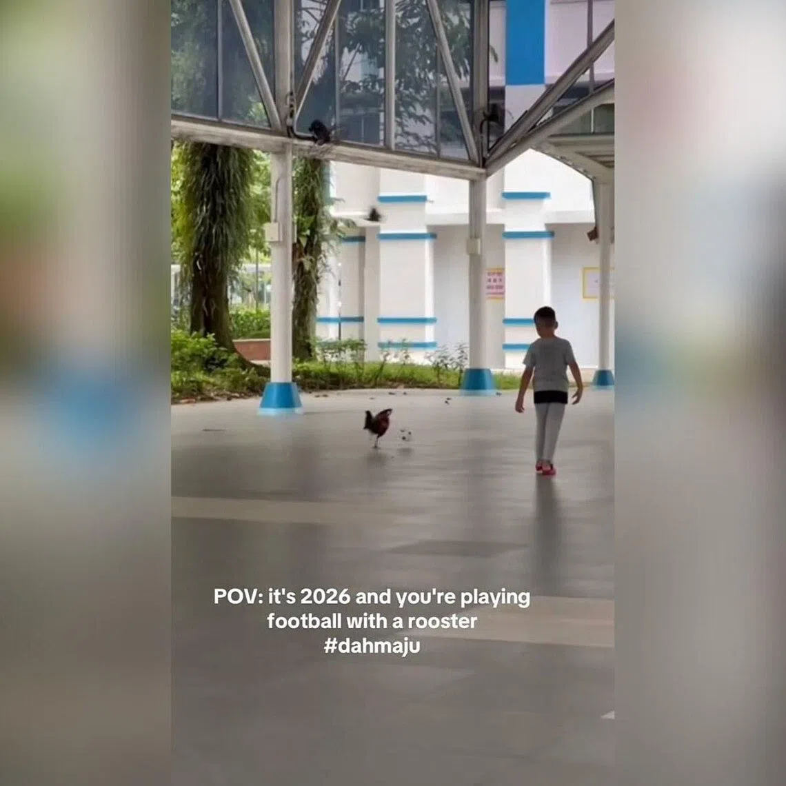 The video has captivated over 118,000 viewers on TikTok.