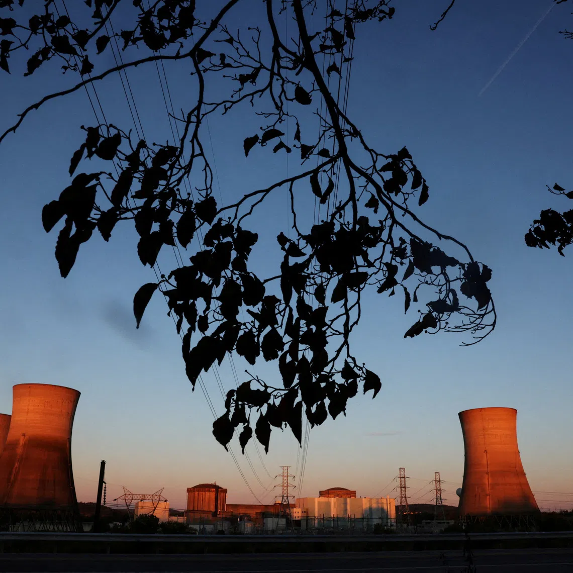 The effort is expected to lead to a total of more than 20 reactors being installed within five years.