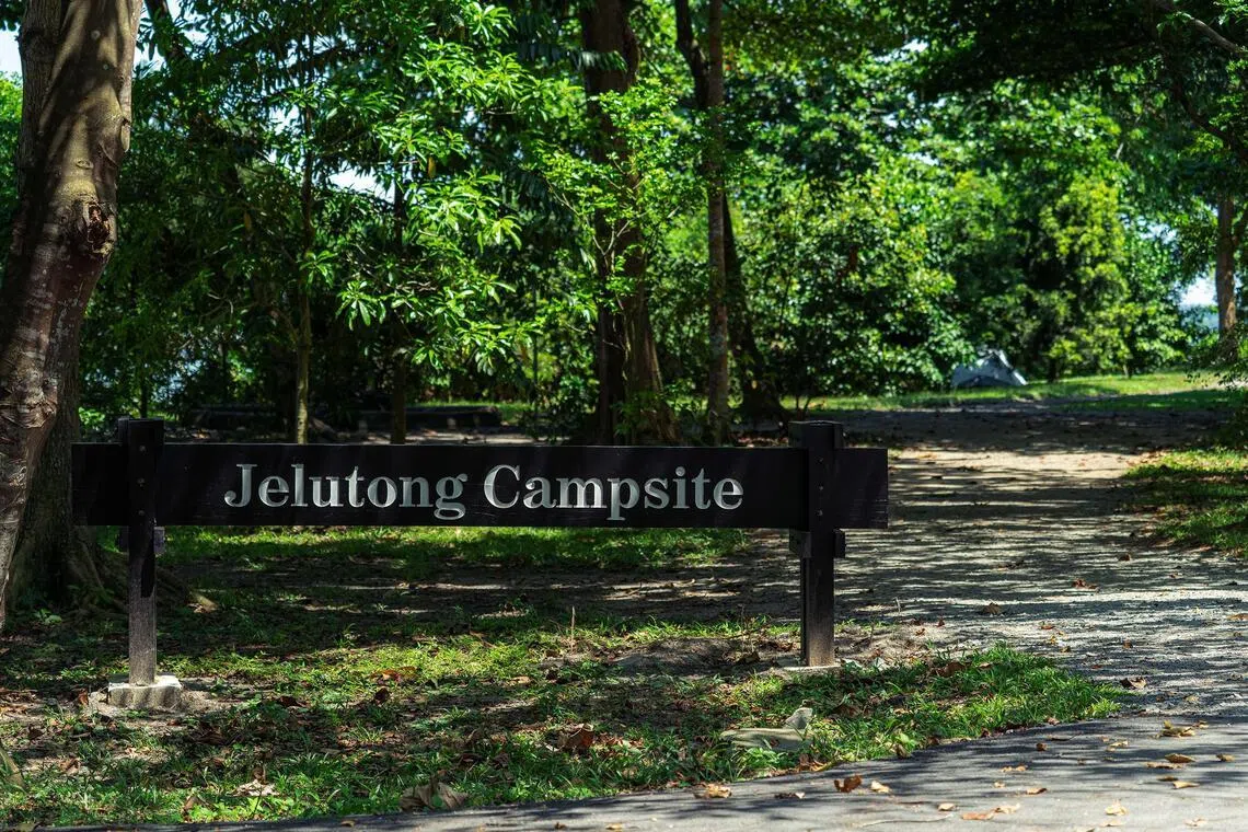 For a taste of the wilderness, camp out at Jelutong on Pulau Ubin.