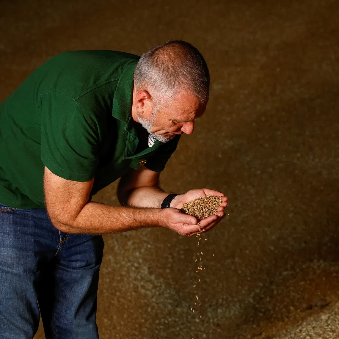 Ukrainian farmer Serhiy Rybalko shows wheat grains inside a storage facility, amid Russia's attack on Ukraine, in Zhytomyr Region, Ukraine August 7, 2026. REUTERS/Valentyn Ogirenko