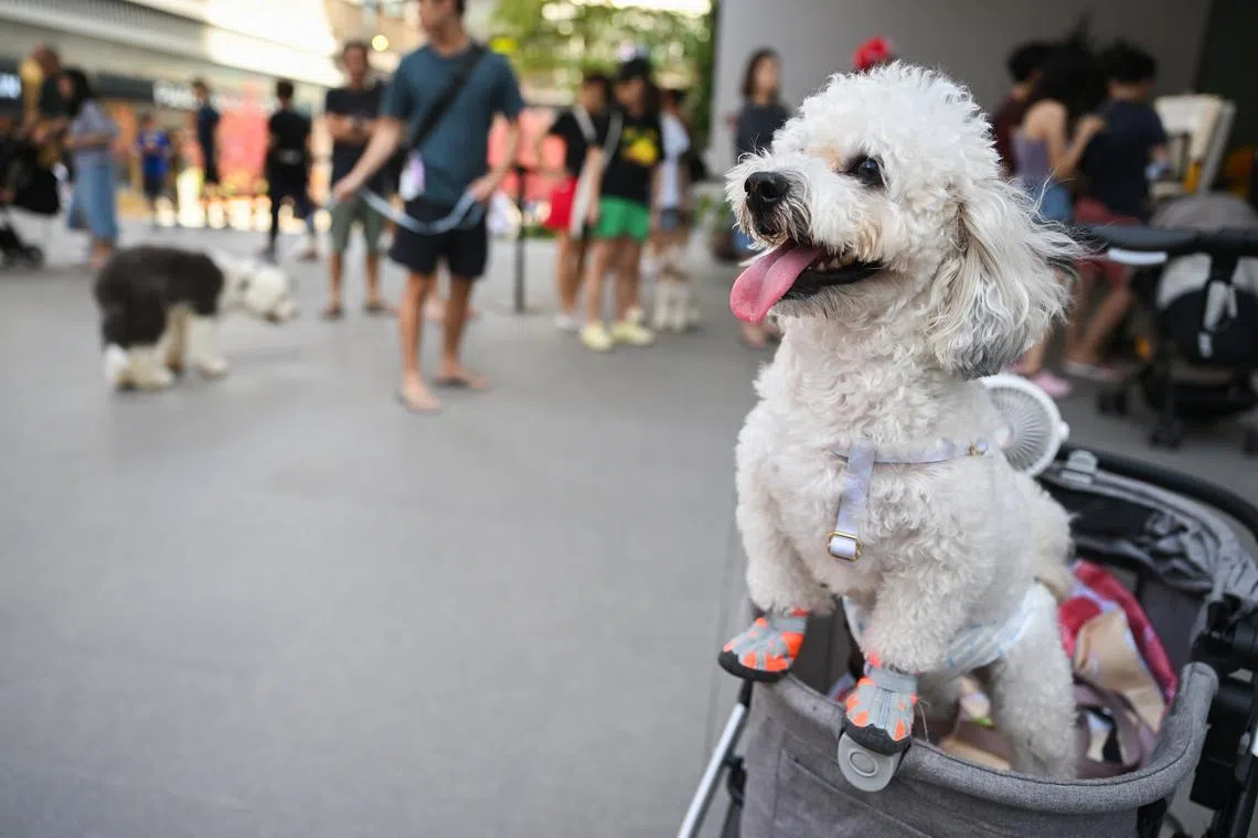 The review comes in the wake of several cases that made the news in the last few years.