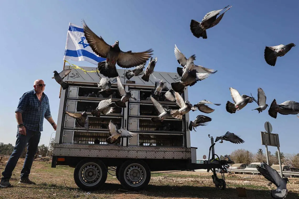 Ori Rosner, the head of the Israel racing pigeons club, releases 140 pigeons to represent the Israeli hostages still held by Hamas in Gaza in the southern Israeli Kibbutz of Beeri at the Israel-Gaza border, on Dec 4, 2023. 