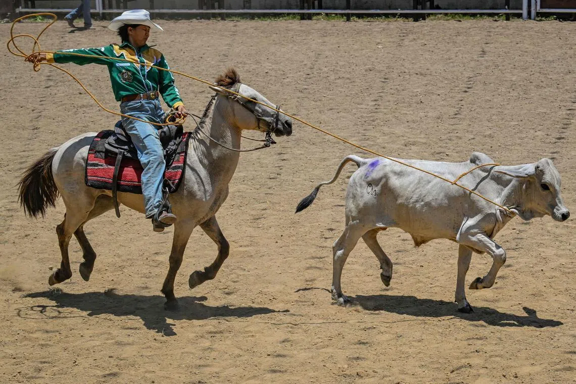 Ms Christel Mae Firme competing in the lassoing on horseback event during the Rodeo Festival in the province of Masbate. 
