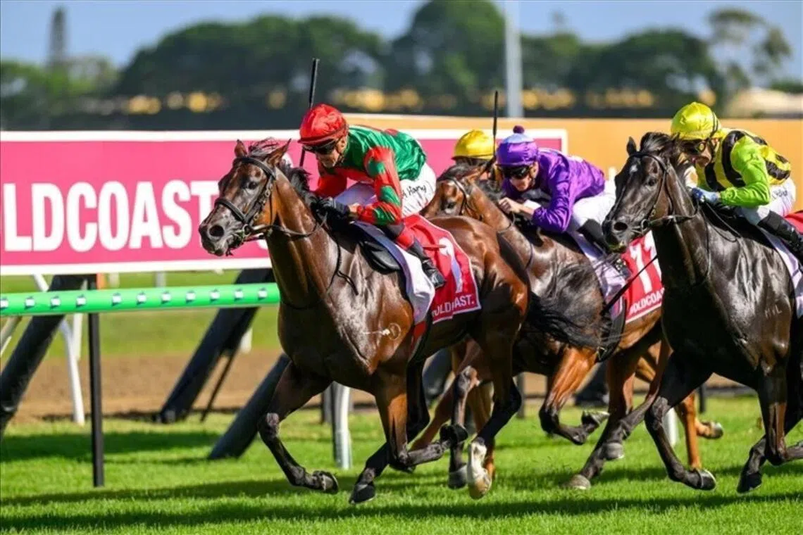 poster12 - Poster Girl (Martin Harley) opening her account in the Magic Millions Rising Stars 3&4YO F&M Plate (1,300m) at the Gold Coast on Jan  10. The Alabama Express mare will be one of two Chris and Corey Munce runners in the Magic Millions Fillies and Mares (1,300m) on Jan 17. 

PHOTO: Sky Racing World