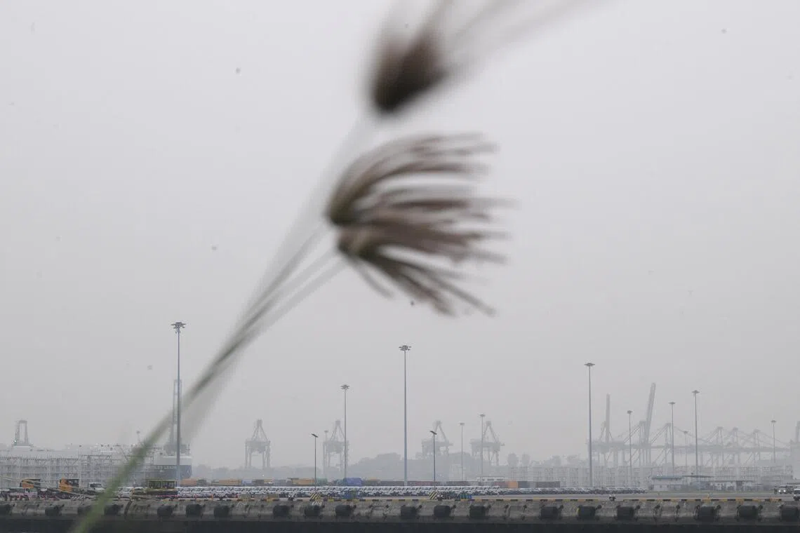 Container cranes from PSA Brani Terminal seen from Marina South Pier at around 6.30pm on Oct 13, 2026. At 7pm the 24-hr PSI was 126 and the 1-hr PM 2.5 was 62 in the South. Can be used for stories on haze, weather, health and Singapore.