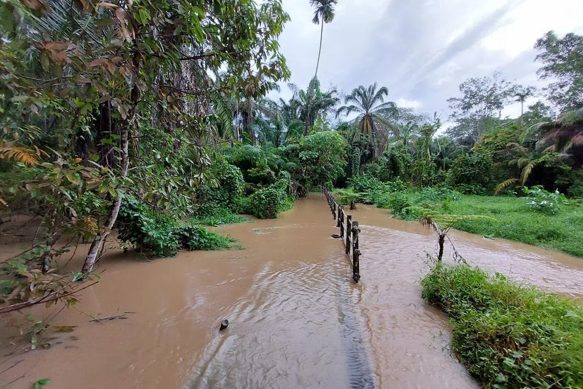 In November 2022, an elevated boardwalk in Windsor Nature Park which was submerged in floodwaters and impassable. The stream next to the trail overflowed due to rain.