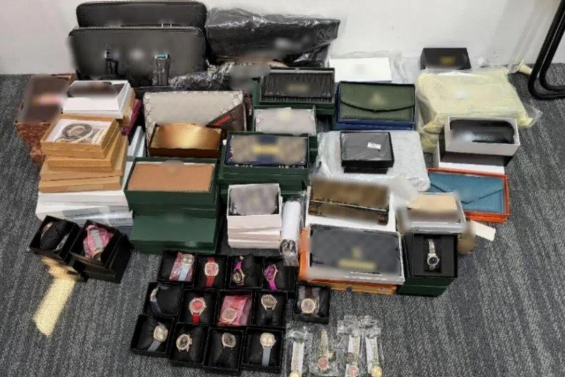 Seized items include luxury bags, wallets, watches, sunglasses, pouches and accessories.