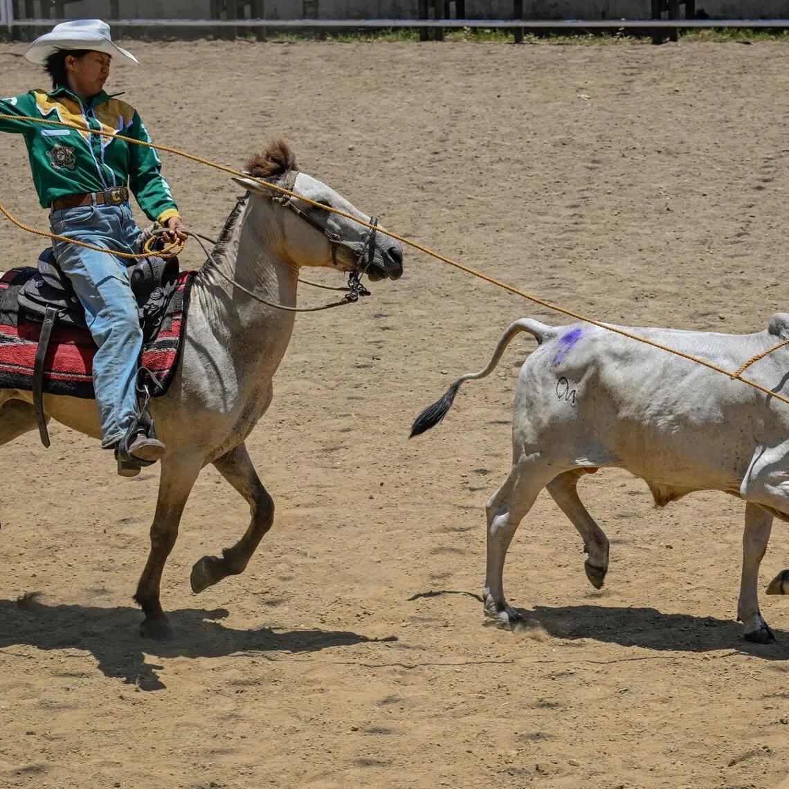 Ms Christel Mae Firme competing in the lassoing on horseback event during the Rodeo Festival in the province of Masbate. 