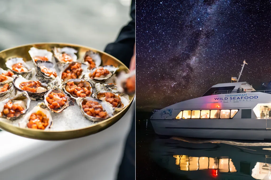 Sea to Sky Night Cruise offers seafood dining and aurora spotting