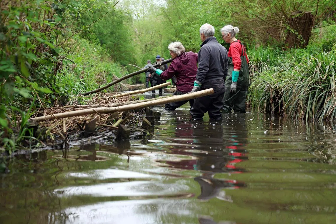 Os voluntários constroem recursos naturais de gerenciamento de inundações no açafrão Brook em Leicester em 24 de abril de 2025. Leicester, como muitas outras cidades do Reino Unido, sofreu vários eventos intensos de chuva nos últimos anos, que causaram danos significativos. Alerta às mudanças climáticas, que intensifica esses eventos, as autoridades estão fortalecendo suas defesas e recorrendo a soluções mais simpáticas com o meio ambiente. (Foto de Darren Staples / AFP) / Afp With Afp Story de Marie Heuclin