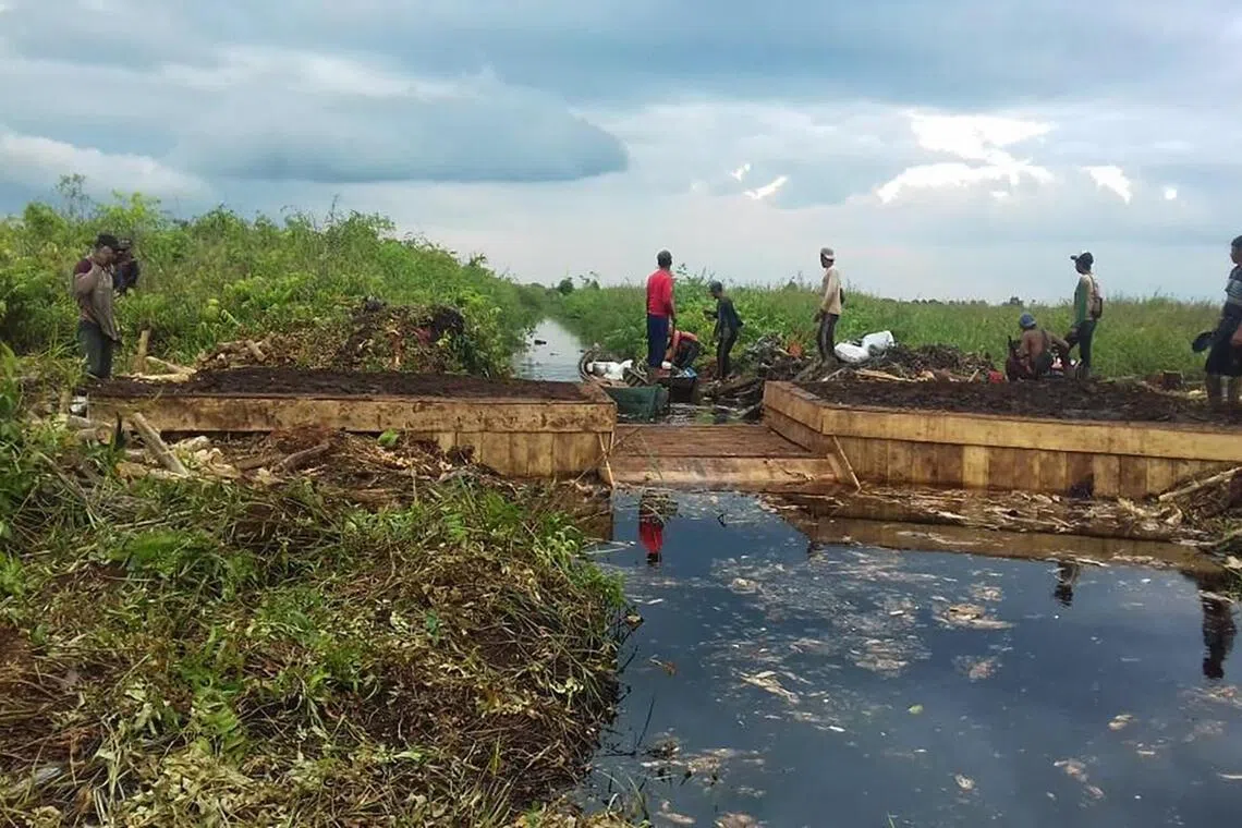 Fighting fires is only a downstream response to the haze crisis. The real solution lies upstream, in better management of peatlands to prevent fires from starting, says the writer.