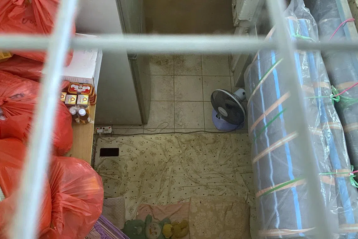 The 15-year-old girl lived in the Circuit Road Market and Food Centre stall for 11 months.