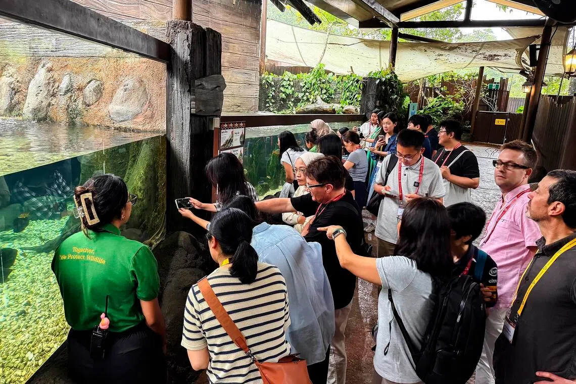 To accommodate large groups while maintaining public access, venues like River Wonders and multimedia attraction Exploria are available for private, after-hours buyouts.