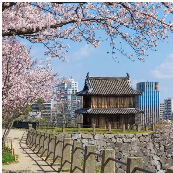 Destinations such as Warsaw, Chiang Mai and Guiyang are gaining traction among Singapore travellers.