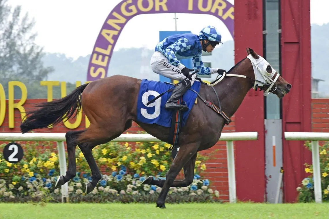 Mega Skye
PHOTO: SELANGOR TURF CLUB