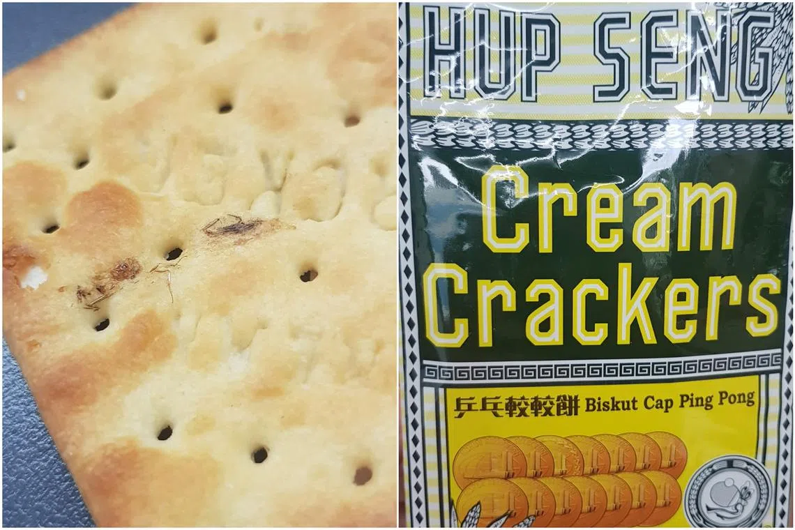 The cracker appears to have on it the legs and part of the thorax of a bug.