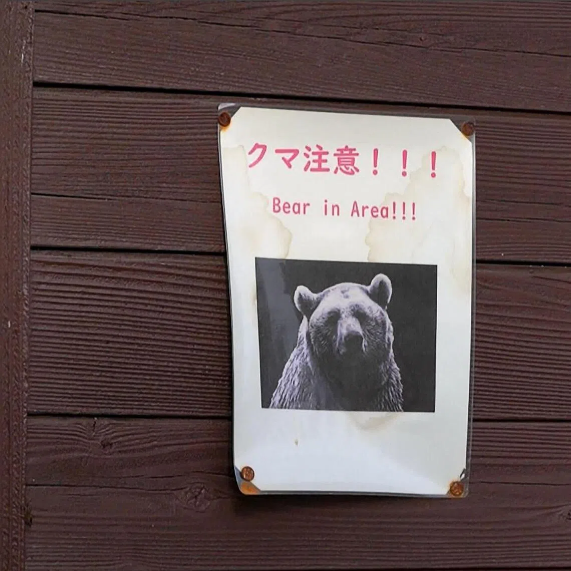 The number of brown bears captured in the first 10 months of fiscal 2025 was almost twice as much as the number caught during the entirety of fiscal 2024.