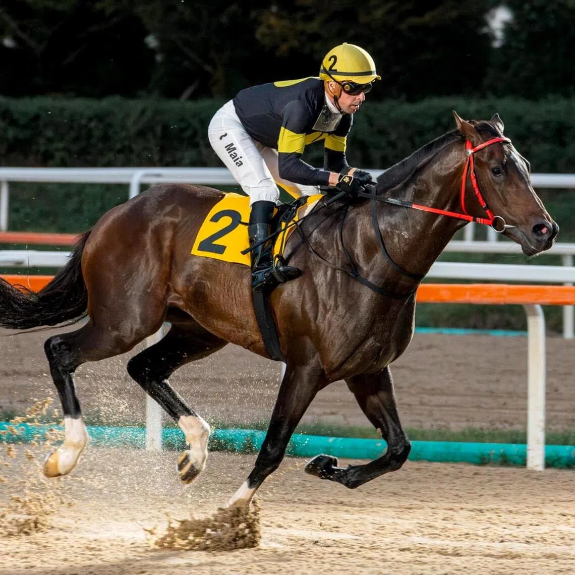 Former Kranji-based Brazilian jockey Ruan Maia steering his Korea Cup mount Wonpyeong Storm to their only previous winning pairing in a Class 1 race (1,800m) in Seoul on Sept 29, 2025.

PHOTO: COURTESY OF RUAN MAIA