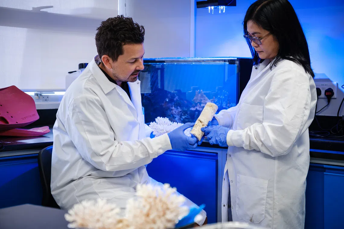 Assistant professor Kyle Morgan (left) and research fellow Riovie Ramos examining a reef core.