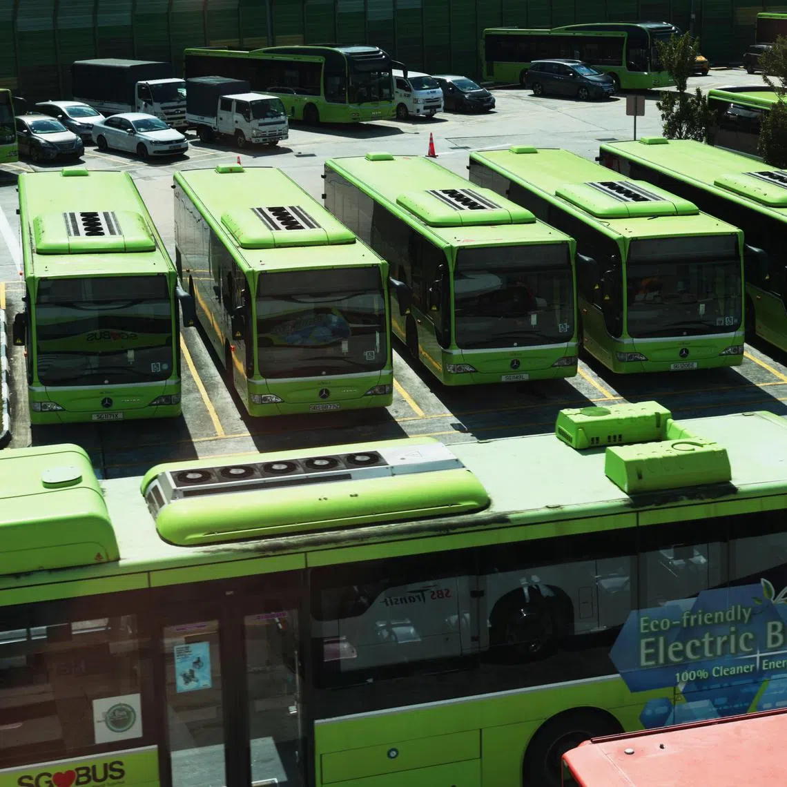 CMG20241108-RChiong03/张俊杰/电动巴士 generic pix of SBS Transit Buses [Seletar Bus Depot]