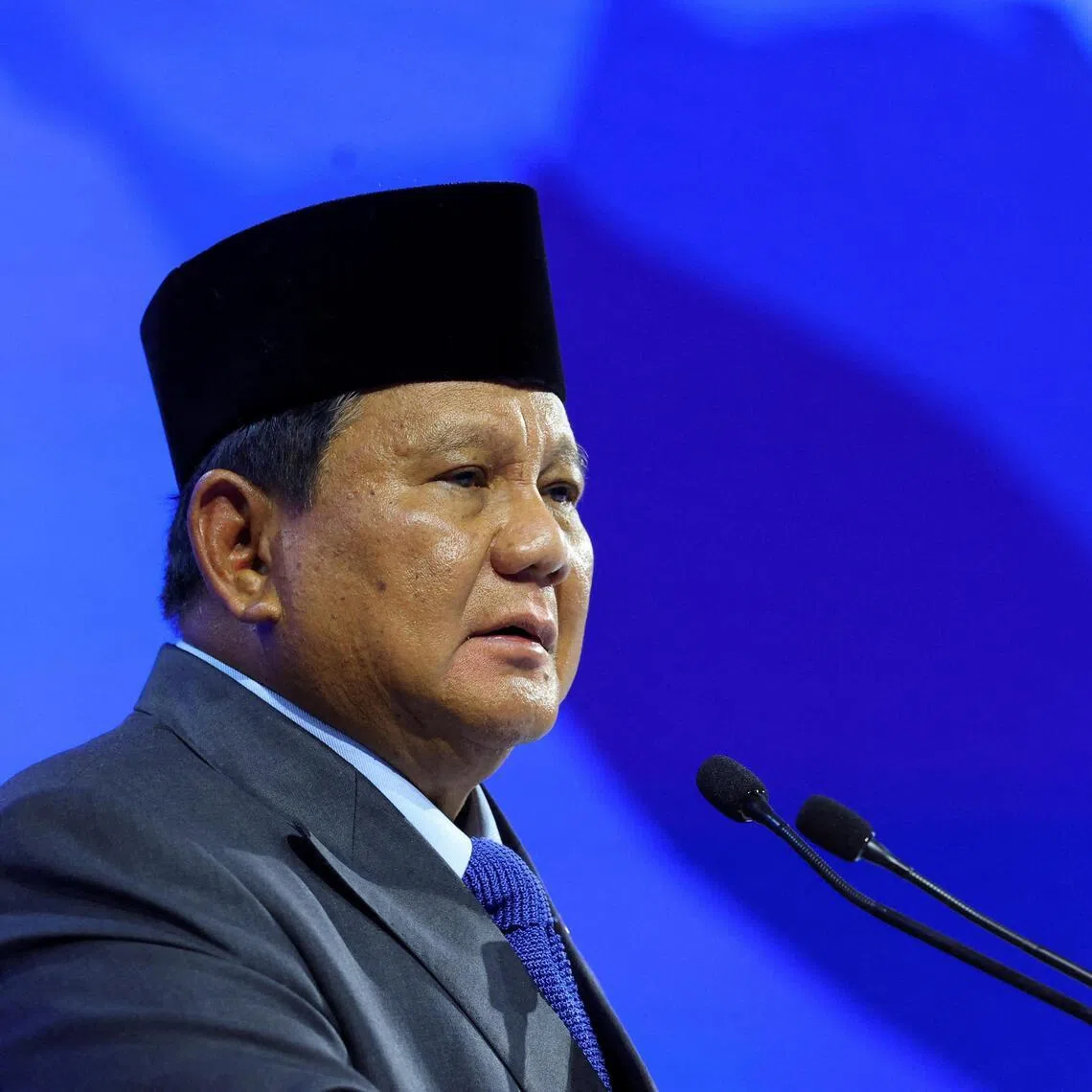 Indonesian President Prabowo Subianto attended the “Board of Peace” launch in January at the World Economic Forum in Davos, Switzerland, along with other heads of state and senior officials.