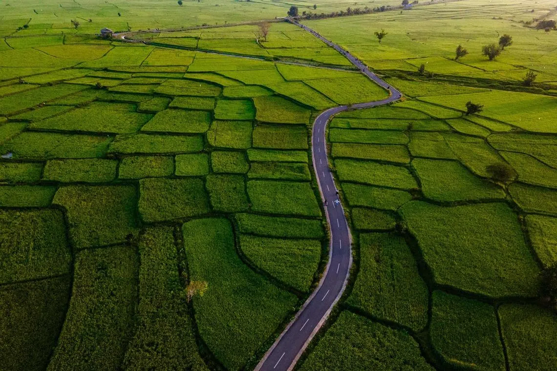People walking past paddy fields at sunrise in Montasik, Indonesia's Aceh province, on March 5, 2026. 