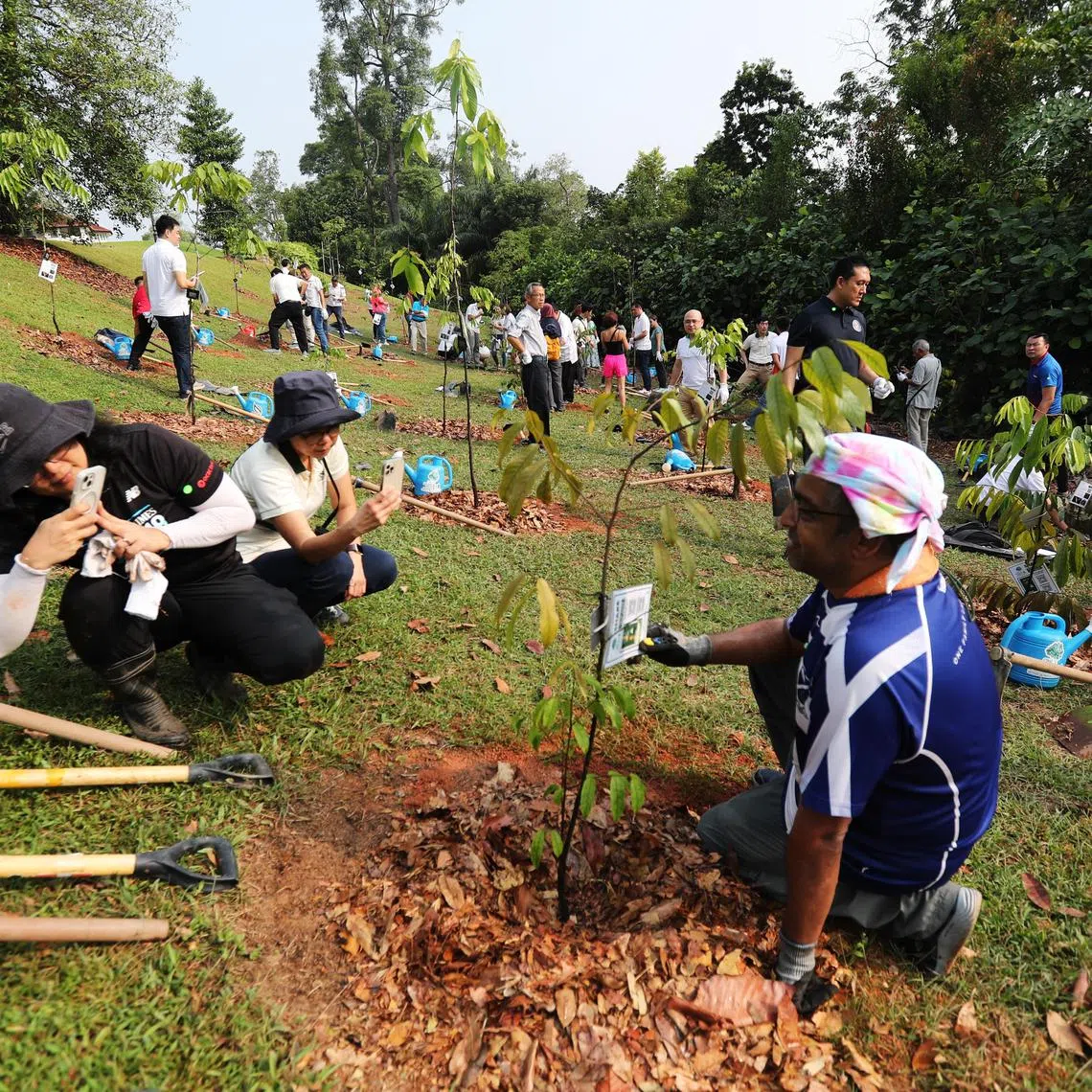 The National Parks Board (NParks) commemorates 60 years since founding Prime Minister Mr Lee Kuan Yew kickstarted Singapore’s nationwide greening campaign. To commemorate
the occasion, 60 trees will be planted on 15 April 2023 by residents from the five Community Development Councils (CDCs), among other partners.

The event will be hosted by Mr Desmond Lee, Minister for National Development and Minister-in-Charge of Social Services Integration, who will be delivering opening remarks as well as share on the progress of the OneMillionTrees movement. Representatives from the five Community Development Council Districts will also be attending the event.