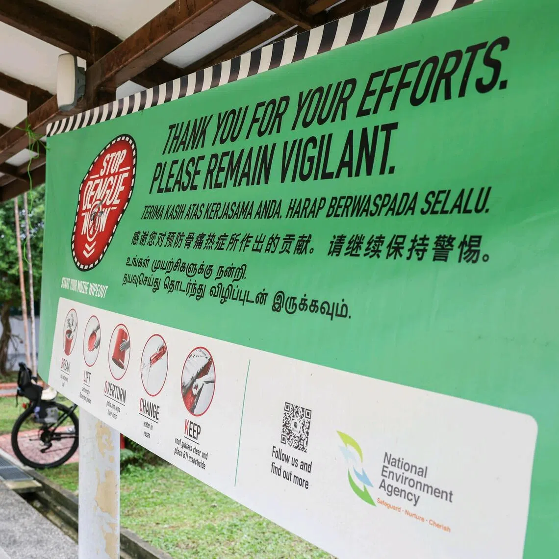 There were 3,990 cases of dengue reported in 2025 as at Dec 26 – a drop of about 70 per cent from the 13,651 cases seen in 2024.