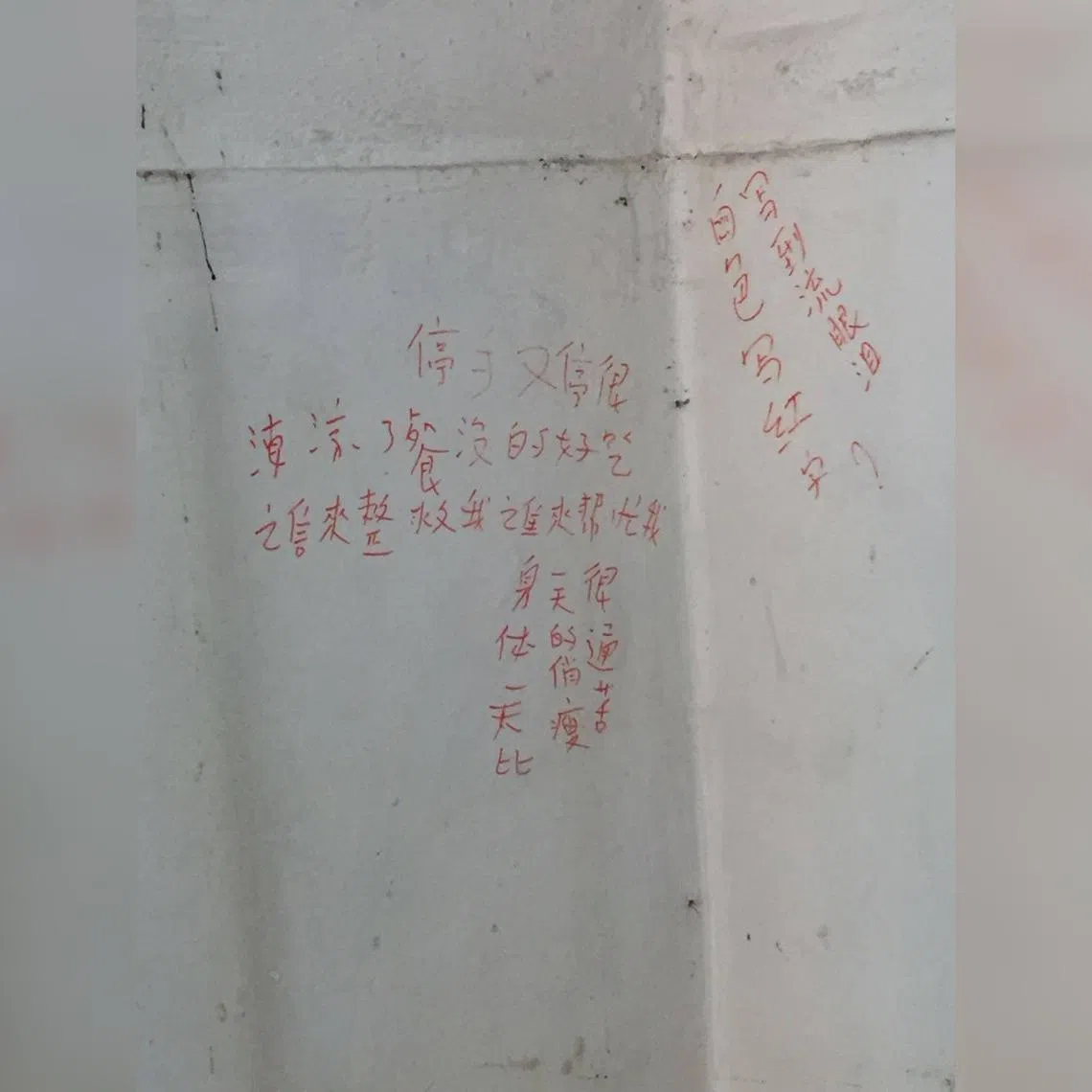 Volunteers uncovered words written by a hoarder on the walls of her flat. 