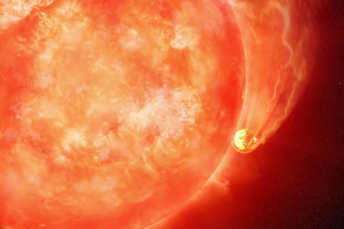 A handout artist impression shows a star devouring one of its planets.