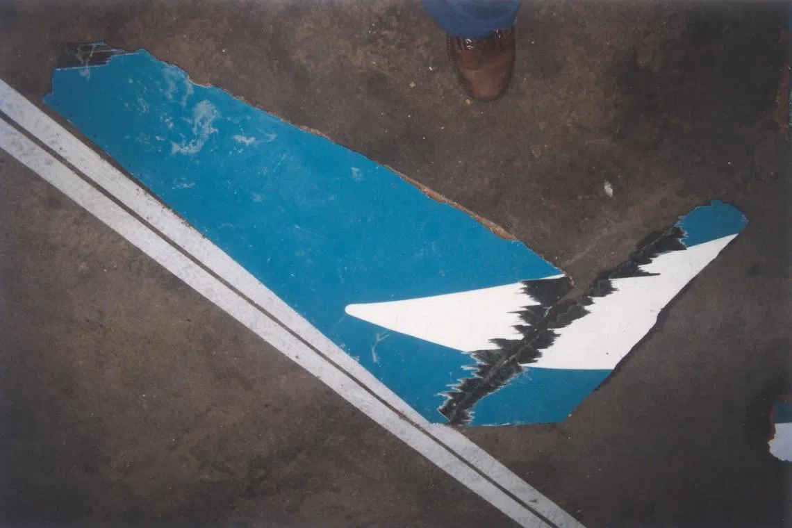 sycrash18b - Wreckage from the aircraft's tail Credit: Dr Tan Peng Hui