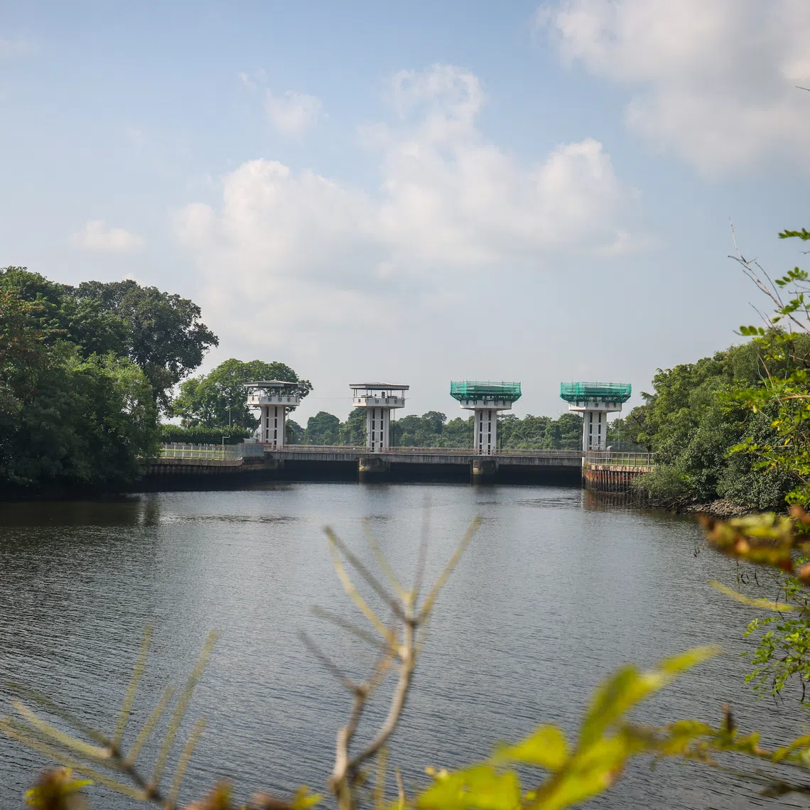 Turning the existing Kranji Tidal Gatehouse into the “Marina Bay Sands of Sungei Buloh” was also among the suggestions.