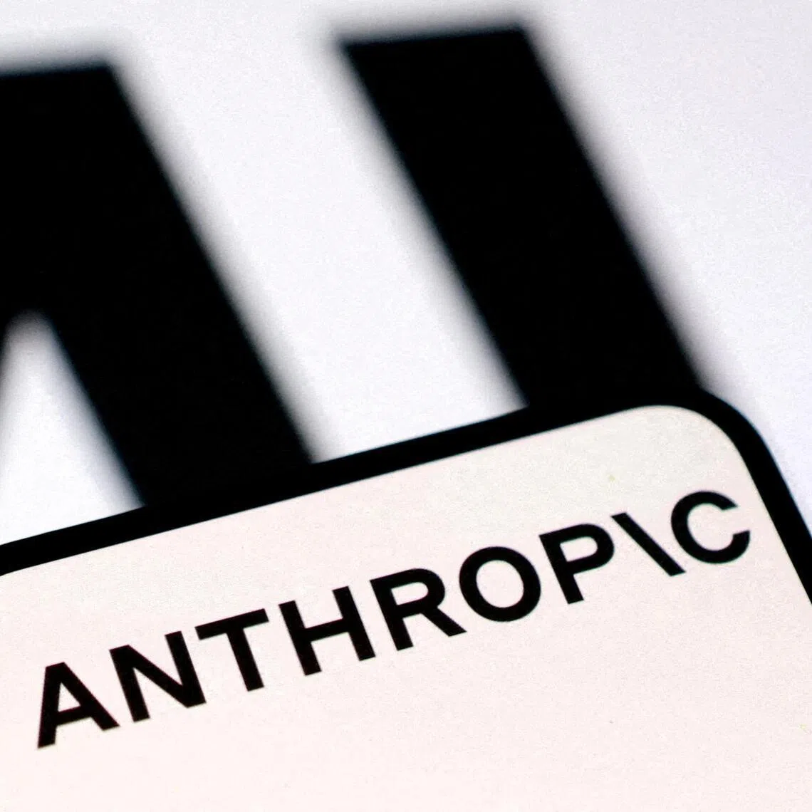 Hardly a year into unveiling ambitions to tailor AI for finance, Anthropic has rapidly expanded its business, with adoption by Goldman Sachs, Visa, Citi, AIG and others. 