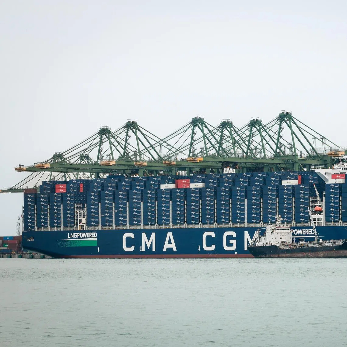 The CMA CGM Notre Dame berthed at Pasir Panjang Terminal on June 1.