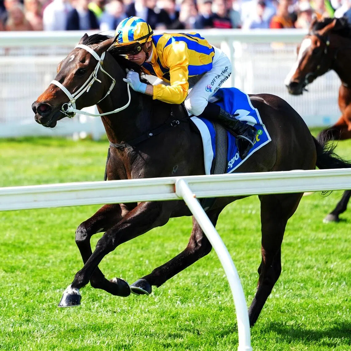 Blind Raise - Blind Raise (Blake Shinn) winning the Group 3 Caulfield Guineas Prelude (1,400m) on Sept 19.

PHOTO: SKY RACING