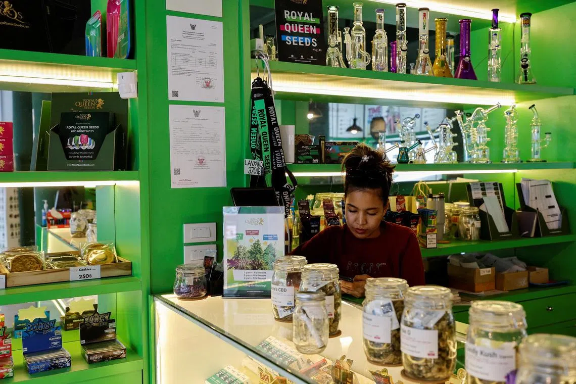FILE PHOTO: An employee waits for clients at Royal Queen Seeds, a cannabis shop next to the venue of the Asia-Pacific Economic Cooperation (APEC) Summit in Bangkok, Thailand November 17, 2022. REUTERS/Jorge Silva/File Photo
