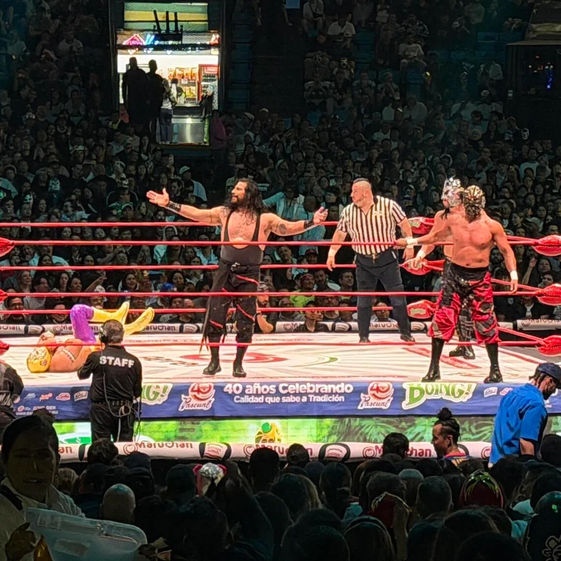 The lucha libre show at the Arena Mexico on June 9 captivated the audience which included the writer. 
ST PHOTO: DEEPANRAJ GANESAN