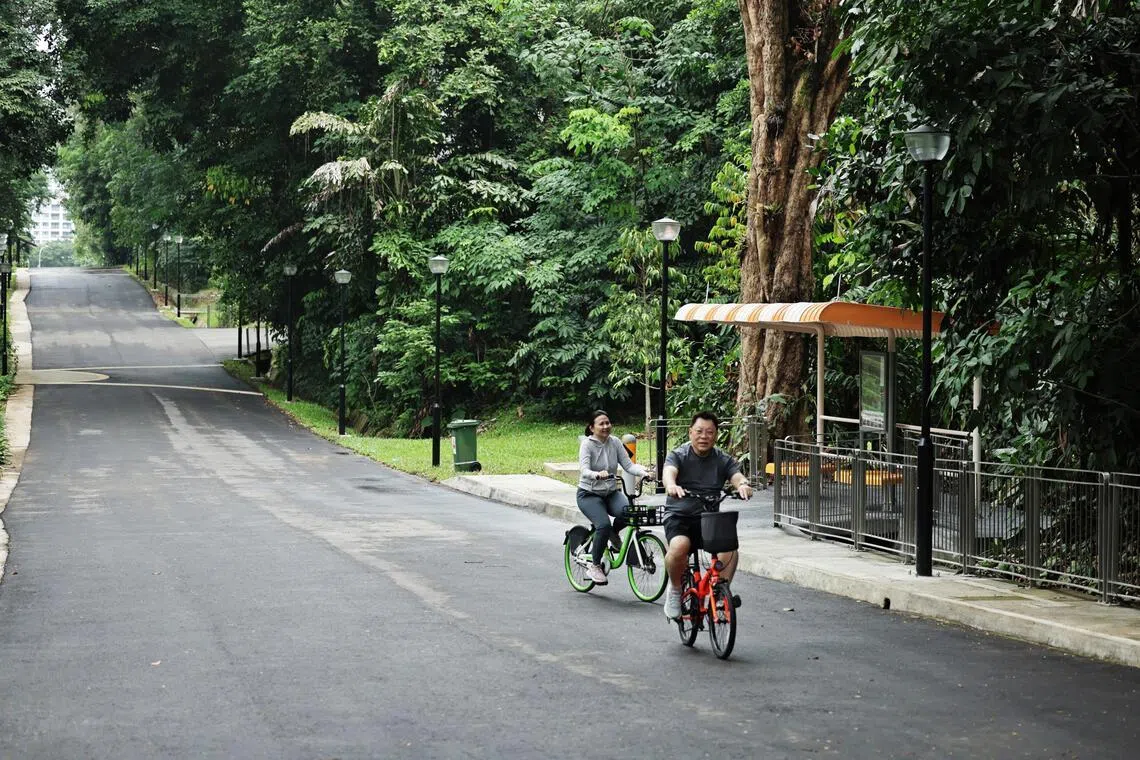 Few cities in the world can match Singapore’s network of parks and trails where people can walk, run and cycle from early morning to late evening in such a safe environment, says the writer.