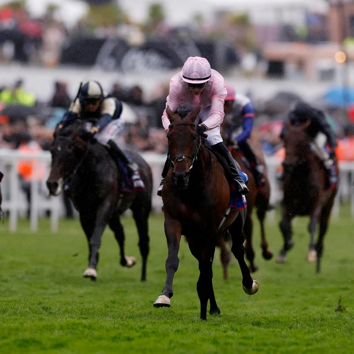 Horse Racing - The Epsom Derby - Epsom Downs Racecourse, Surrey, Britain - June 6, 2026
Christmas Day ridden by Ronan Whelan wins the 16:00 Betfred Derby Action Images via Reuters/Andrew Couldridge